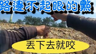 ☆遠投☆ #沙梭 #fitness #沙梭釣組  今天來到新竹.百來隻沙梭魚肆虐! 流水對了丟下去就咬沒在客氣的.三小時真的2-3斤沒問題.魚的體型都有12公分以上!真心不騙! 歡迎來挑戰!