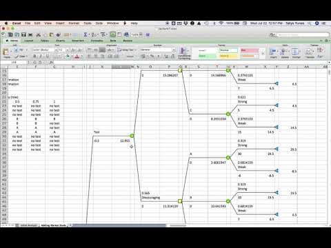 Risk Profiles with Decision Trees in Excel: A Strategy Example