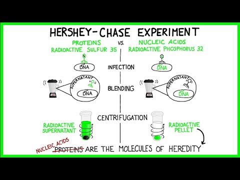 Hershey Chase & Griffiths (Older version)