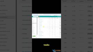 Web CEO Secrets: Optimize Your SEO Strategy Like a Pro!