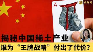 揭秘中国稀土产业，谁为“王牌战略”付出了代价/行业分析  （娜点财经20250609）