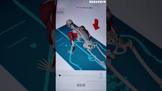 换一种方式你可能就舒服了#运动康复 #居家锻炼 #卧推 #肩关节 #科普
