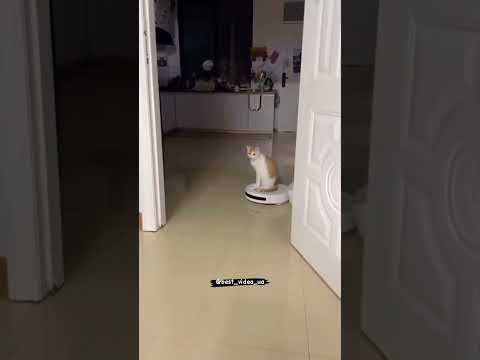 Allah Aşkına Bunlara Bir Bakın!
