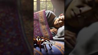 🕷️ Do we really swallow 8 spiders a year sleeping?! 🕸️ #urbanmyths #spiders #eatingspider