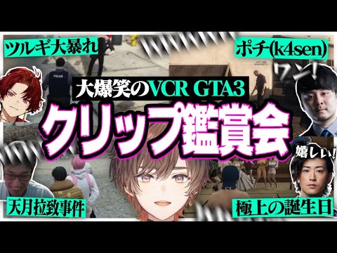 【まとめ①】大爆笑だったVCRGTA3の面白クリップを見ていく天月【天月】