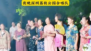 现场实拍夜晚深圳荔枝公园合唱队，唱响夕阳红，共度美好时光！
