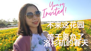 美国日常 | 没来过这里等于辜负了洛杉矶的春天