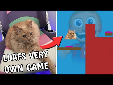 Someone made a game about my cat...