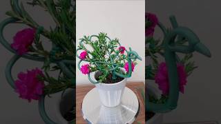 How to decorate portulaca flower? let's practice together easy #shorts #diy #garden #gardenflower