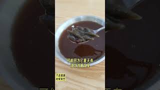 海南岛这个特色食品不能少一个字，否则就闹笑话了啊。