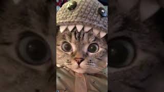 #shorts, #viral, #trending