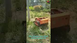Venta directa de fábrica, bajo precio al por mayor, China, huertos, cortacésped con cepillo RC
