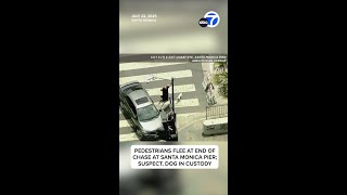 Pedestrians flee at end of police chase at Santa Monica Pier; suspect, dog in custody