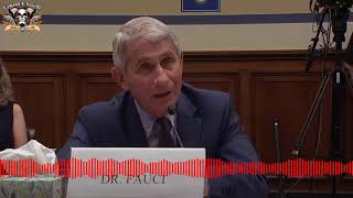 Lamont and Tonelli's Angry Fauci Is Back