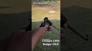 再次盘点几个奇葩武器，如果是你，会选择哪一个呢？#综艺 #解说 #解說