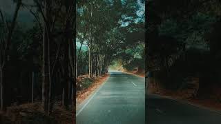 ROAD Sri Lanka | #viralshort #travel #nature #southasia #tranding #love #ceylon #fypシ゚viral #kandy