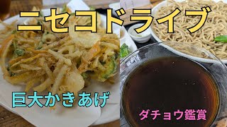 【北海道ドライブ旅】ニセコ　巨大かきあげにダチョウ、ソフトクリーム、揚いも#ニセコ #北海道ドライブ #日帰り旅行 #そば処おおはし #高橋牧場 #ダチョウ牧場 #中山峠 #北海道グルメ