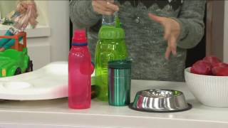 CleanSmart Household Disinfect & Sanitize Kit on QVC