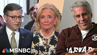 Congresswoman RIPS Johnson over Epstein blame game: 'THEY made promises'