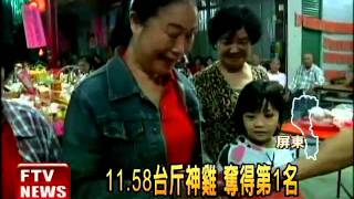 比重量! 神雞比賽謝神－民視新聞