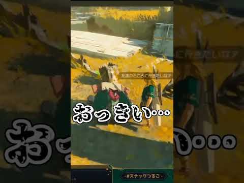 【コログ】もう疲れちゃってで遊ぼう！【ゼルダの伝説/ティアキン/Vtuber/切り抜き/丹鶴つるこ】#shorts