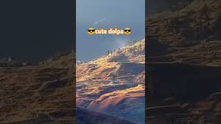 dolpa #viral  #cute  #viralsong
