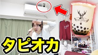 家中に隠したタピオカどっちが早くベビタッピできるか！？