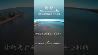 所以说，爱护这具身体，大过于爱护真理的人，真的是罪有应得，你的死亡是你自己一手安排的。#觉悟者 #生命实相 #认知觉醒 #真理 #人格 #人格解離 #明心见性#宽恕 #燃烧 #佛法修行