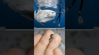 Rare Photos That You Never Seen Before Part 06