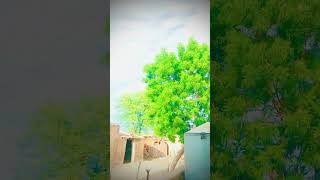 Ip #viral #trendingshorts #shortvideo #trending #foryou #for #foryou #foryou #iphone #techstudio