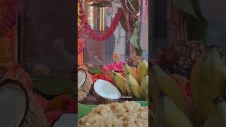 #வைகாசிவிசாகம் #muruga #murugan #trendingsong #velmuruga #vaikasivisagam #tamildevotional #shankavi