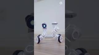 Shorts# Robot - Rover Photography Robot. Photo ClickBot - Spinning and click  bot.