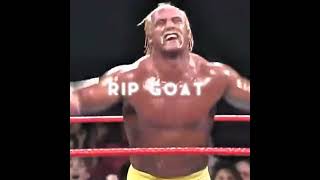 THE🐐 GOAT is Passed away🕊️.