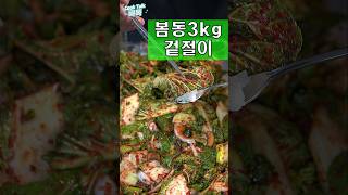대용량 봄동겉절이,김치 담그기  #봄동 #겉절이 #김치 #레시피