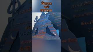 शिवालय पार्क प्रयागराज महाकुंभ मेला 2025 #shorts #shortsfeed #shortvideo #prayagraj #kumbh2025 #yt
