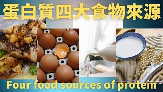 【基礎 營養】蛋白質四大食物來源