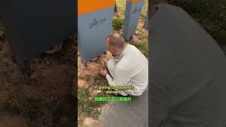 😂export🇨🇳 #shortsfunny#youtubeshorts#comedyshorts #quicklaugh#funnymoment#humorclips #shortvideos