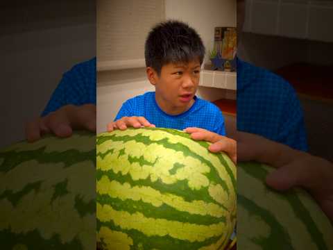 大きなスイカを恐竜の卵と言い張る親子🤣🍉😱 #shorts #スイカ #watermelon