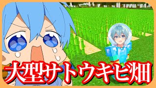 マイクラ 毎分2000個収穫！超大型サトウキビ畑がスゴすぎる！【ころん】すとぷり