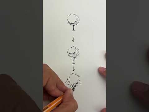 Light & Shadow Basics 🌳 Easy Drawing Tutorial ✏️ #drawingtutorials  #drawingtips #easydrawing