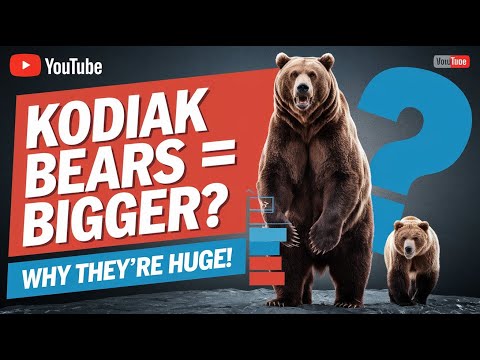 Did You Know Kodiak Bears Are Bigger Than Grizzlies? Here's Why!