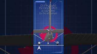Torque Effect on Aeroplane #aviation #flightclub #torqueeffect