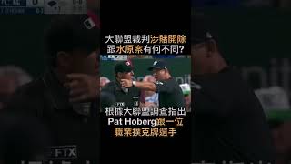 大聯盟裁判涉賭被開除