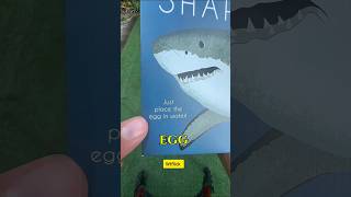 “He Dropped a Shark Egg in Water… 24 Hours Later? UNBELIEVABLE! #BabyShark 😳”#SharkEgg #Shorts