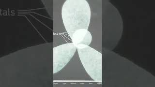 Atom size