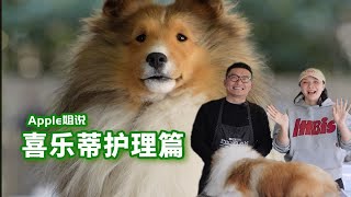 喜乐蒂护理篇来啦