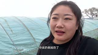 农民的心声，千万别浪费粮食，珍惜无添加食品