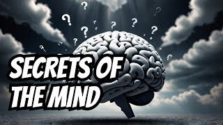 THE BRAIN know your brain facts