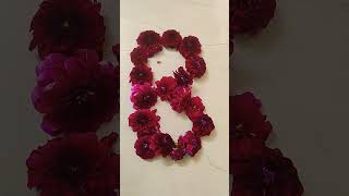 letters, Alphabets, abc letters