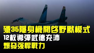 殲-35隱身機開啓“野獸模式”,12枚導彈武德充沛,爆發強悍戰力